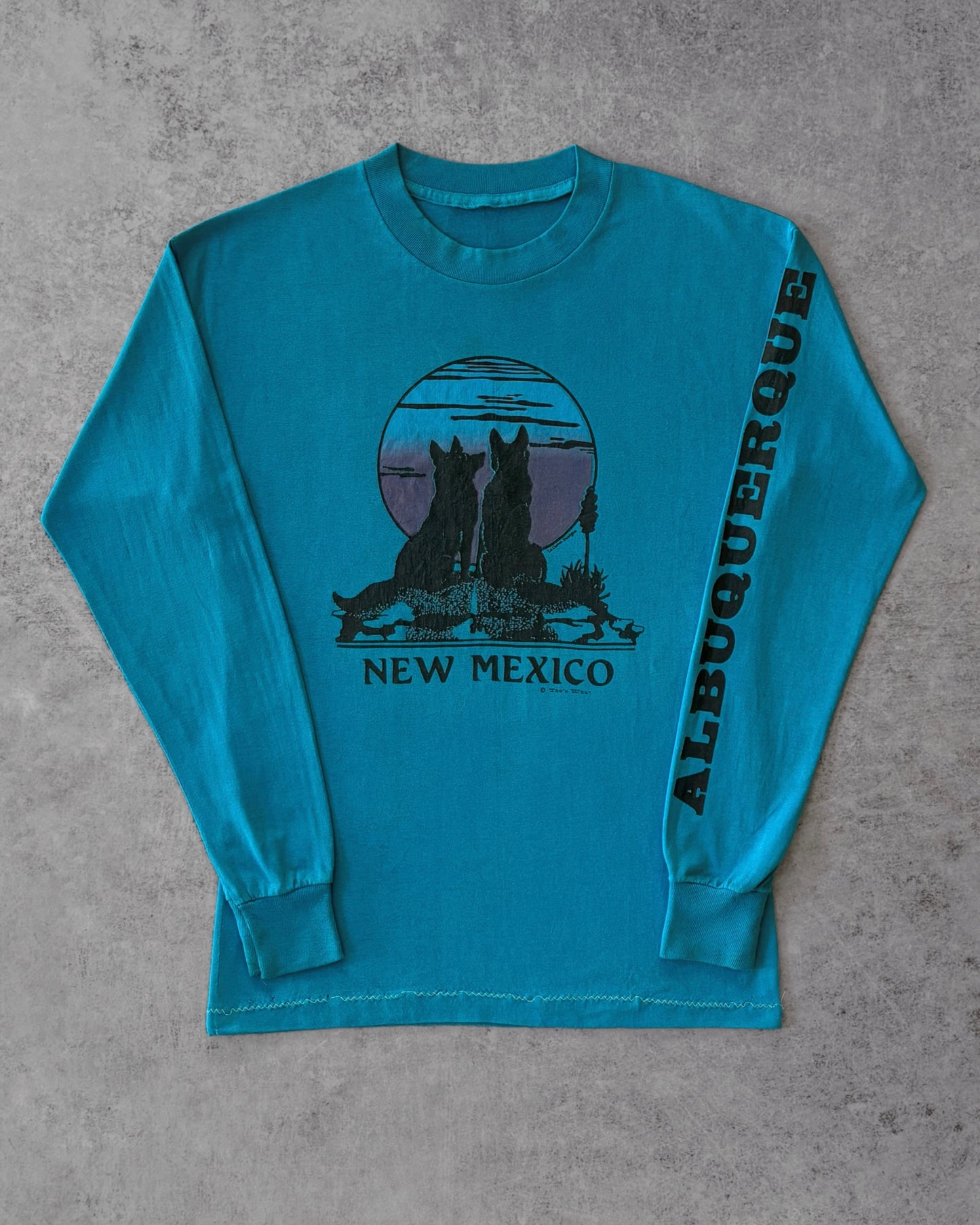 Vintage 80s Albuquerque Wolves Longsleeve – New Mexico Desert Graphic – Made in USA