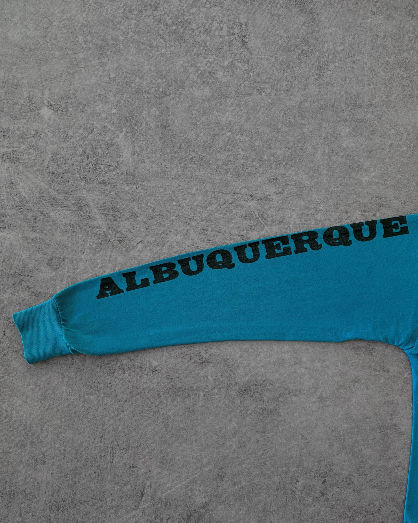 Vintage 80s Albuquerque Wolves Longsleeve – New Mexico Desert Graphic – Made in USA