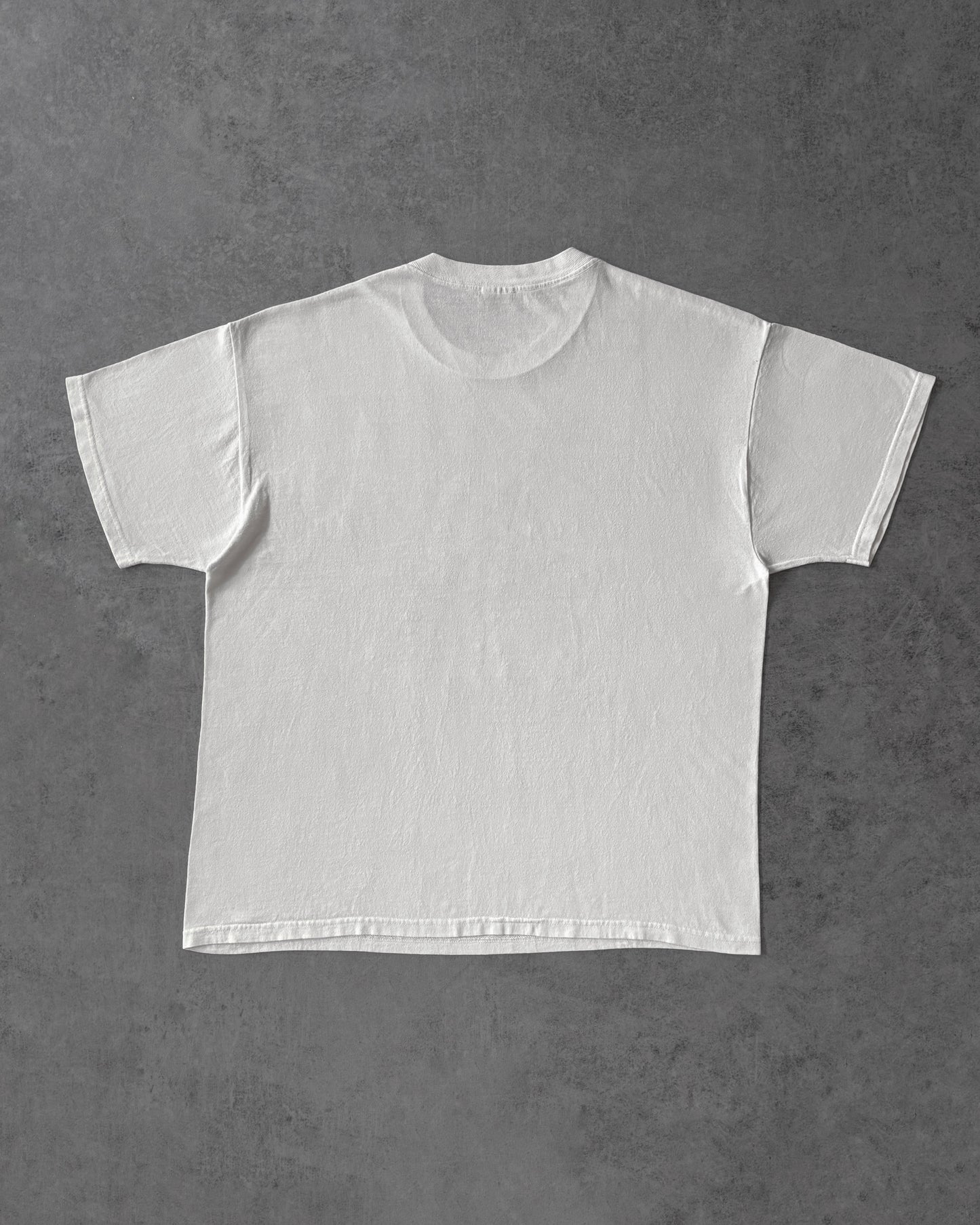 Vintage “End of the Trail” T-Shirt – Native Western Graphic