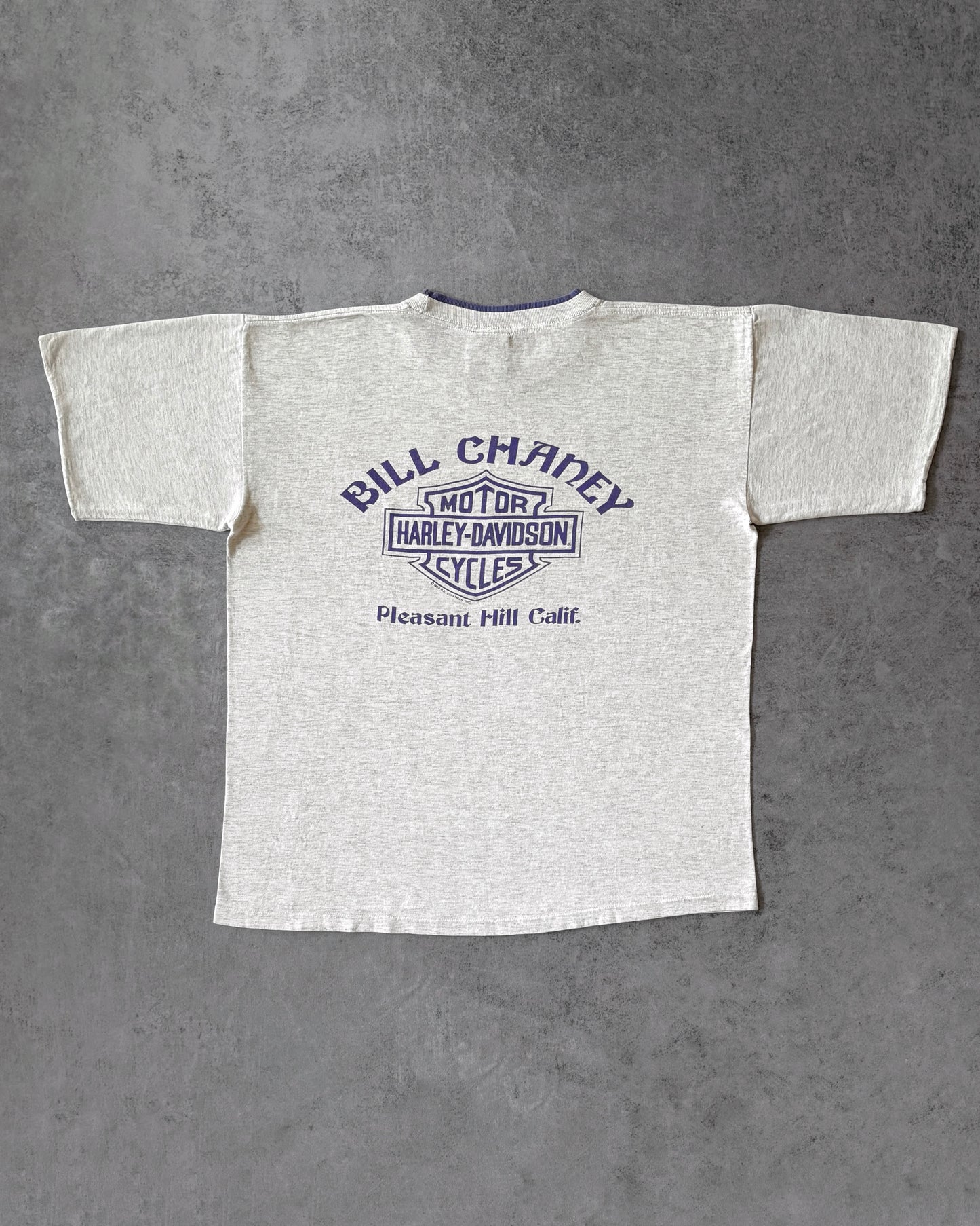 Vintage Early 1990s Harley-Davidson Bill Chaney Pleasant Hill Double Layer T-Shirt – Grey & Purple