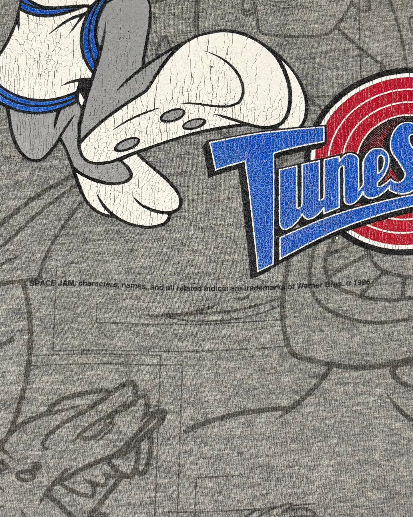 Vintage 1996 Space Jam Tune Squad All Over Print T-Shirt – Nutmeg Mills
