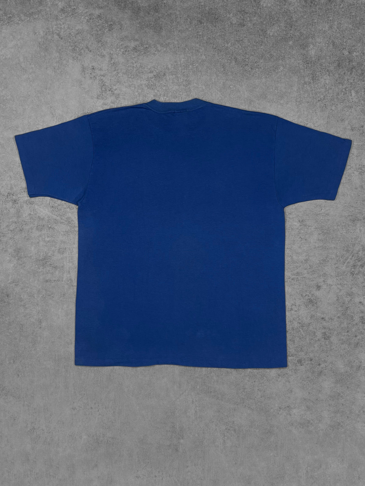 Vintage 1990s USAF Air Force "Rules The Sky" t-shirt by Artex Sportswear – back view