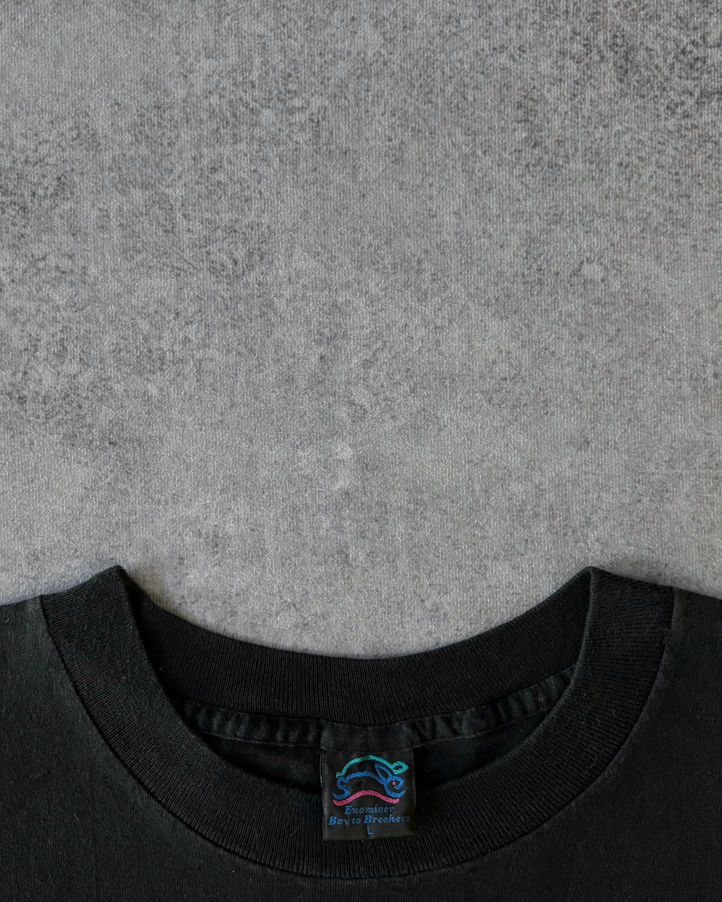 Vintage 1996 “I Survived” Examiner Bay to Breakers T-Shirt – Made in USA