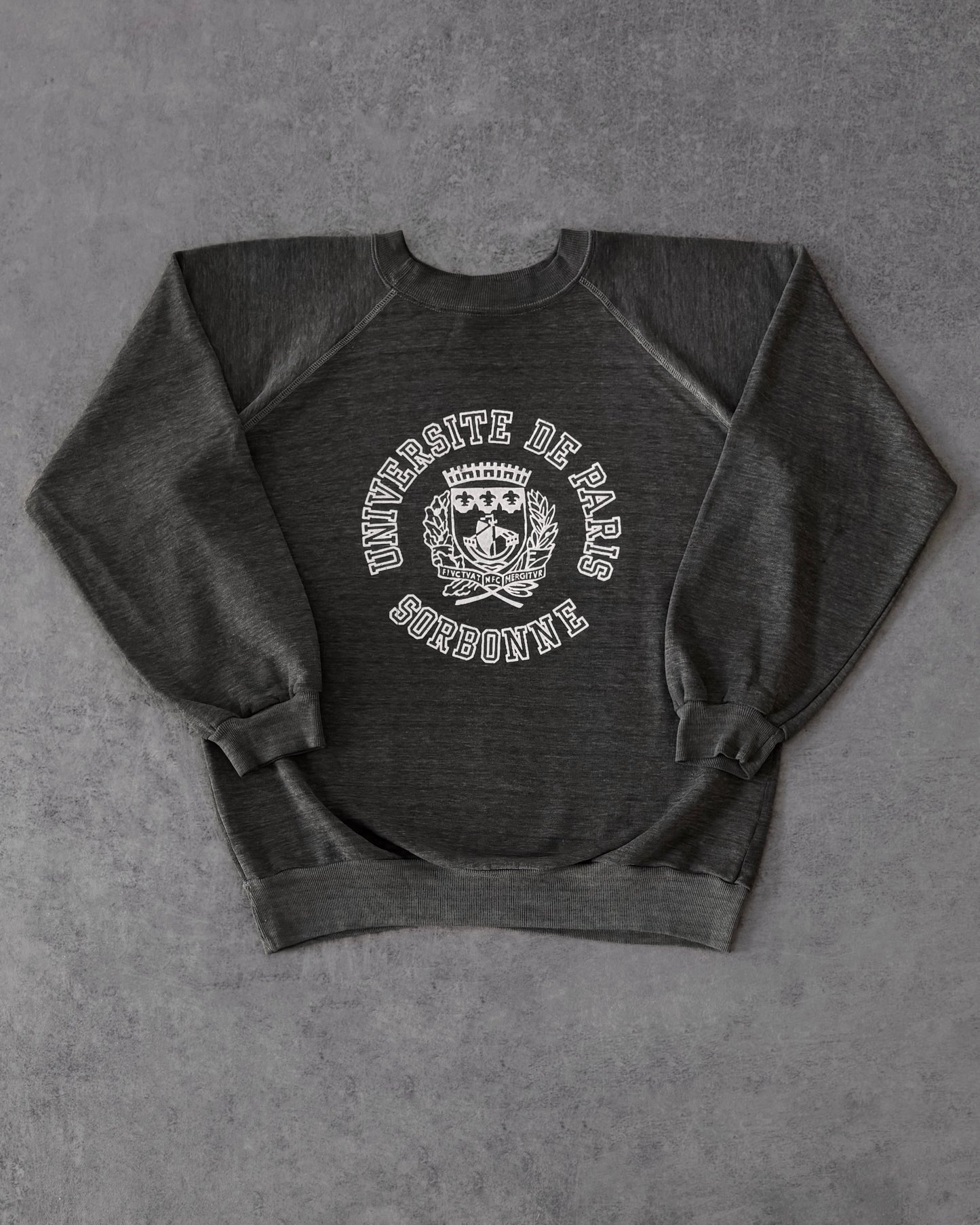 Vintage 1970s Université de Paris Sorbonne Crewneck – Flocked Print
