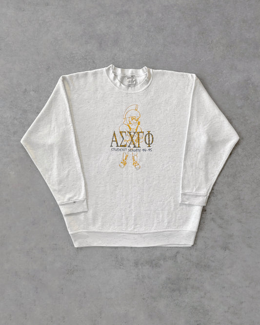 Vintage 1995 College Student Senate Crewneck