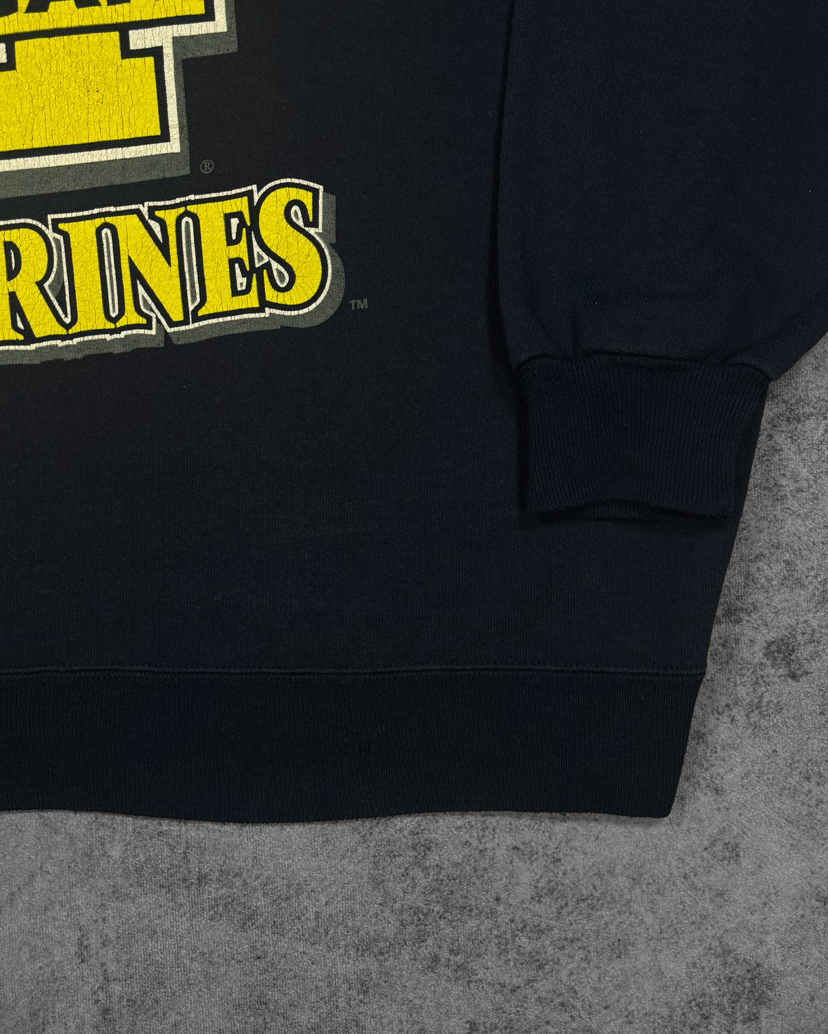 Vintage 1990s Michigan Wolverines True-Fan USA Crewneck Sweatshirt – NCAA Big Logo Screen Print