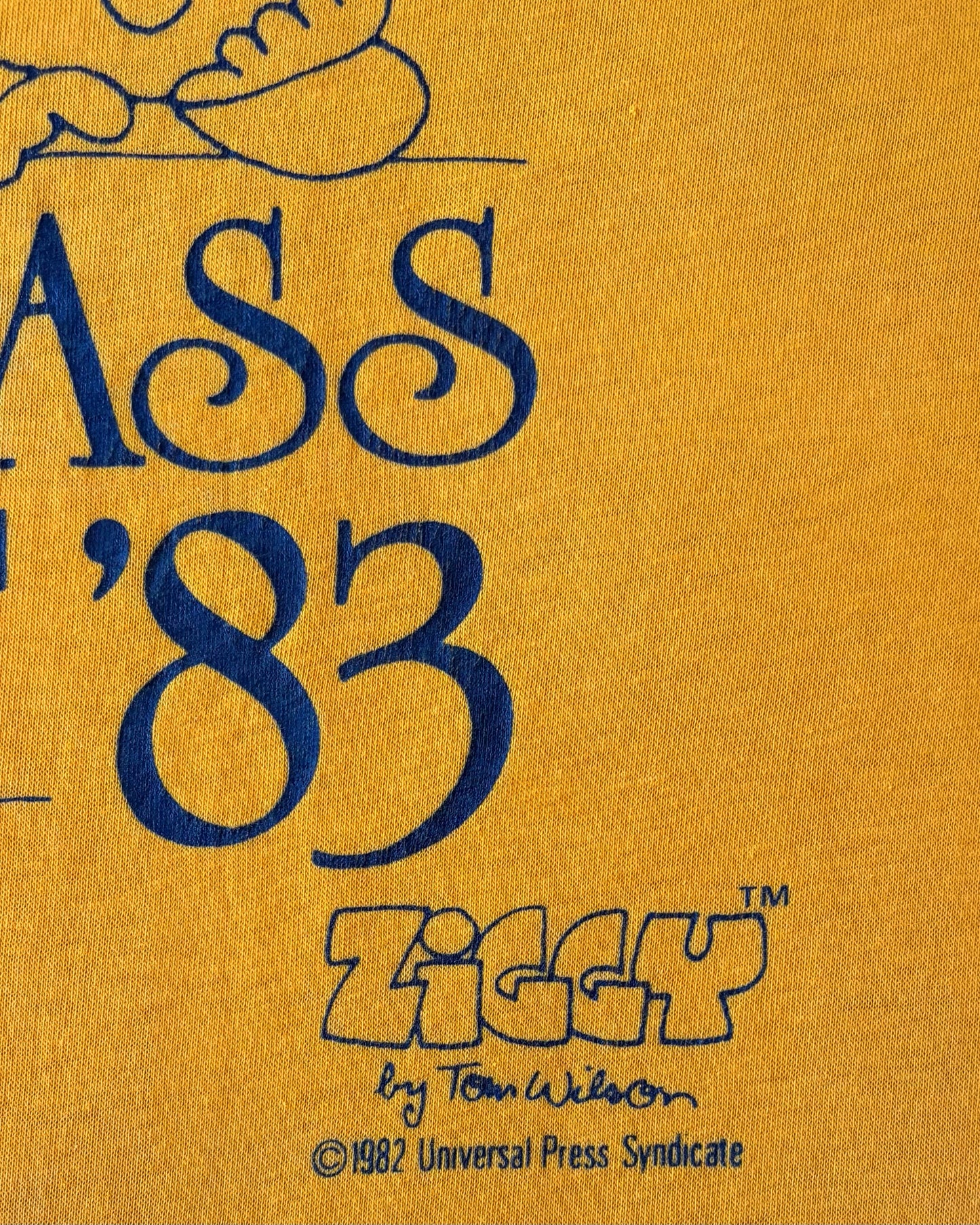 Vintage 1983 Ziggy Nazareth Academy Class of ’83 T-Shirt – Made in USA