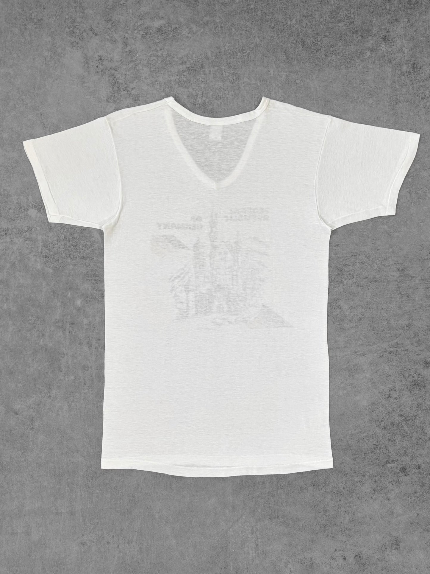 Vintage 1970s Federal Republic of Germany Neuschwanstein Castle V-Neck T-Shirt - Made in USA - West Germany Souvenir